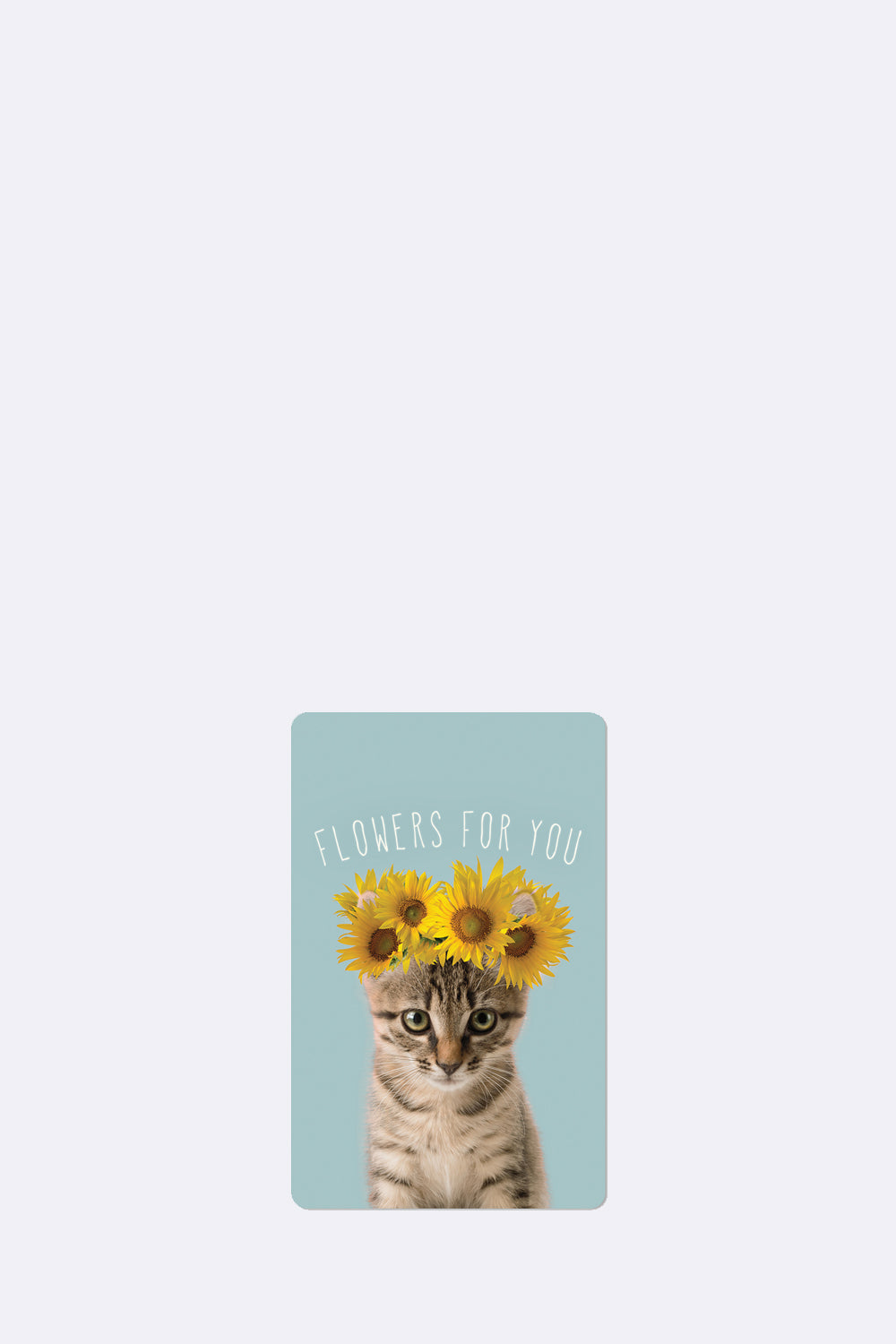 Mini Postkarten - Sunflower cat